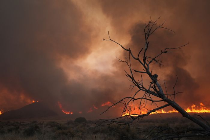 California Wildfires
