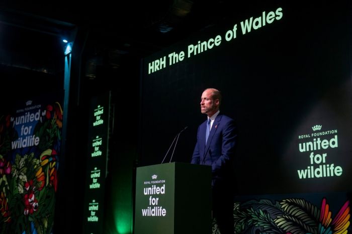 Brazil Prince William