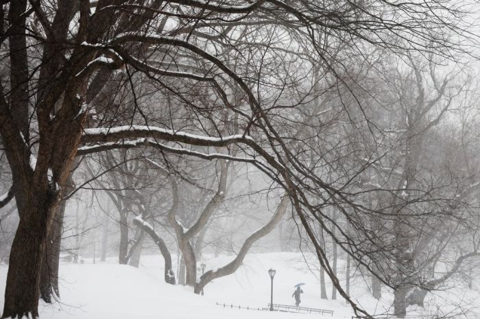 Winter Weather New York