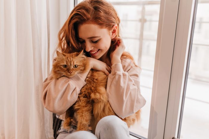 Relaxed smiling girl playing with her fluffy cat. Indoor shot of amazing lady holding pet.
