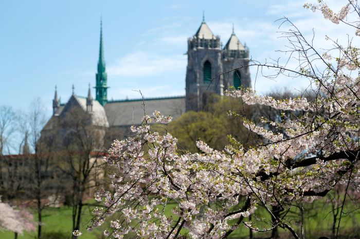 New Jersey Daily Life