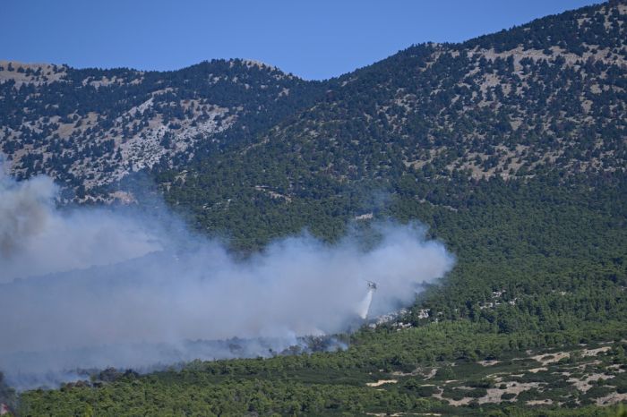 Greece Wildfires
