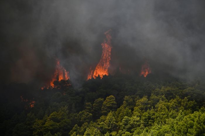 Greece Wildfires