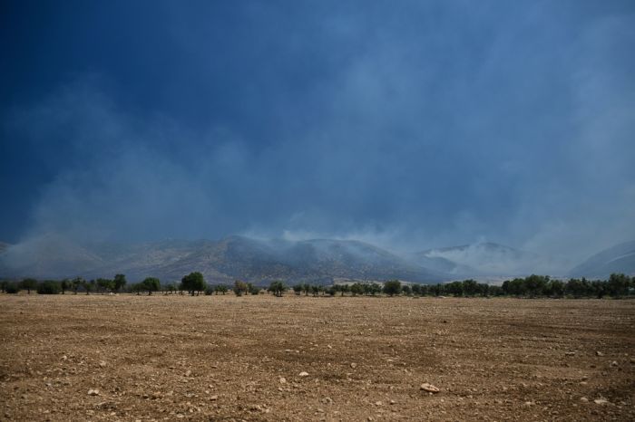 Greece Wildfires