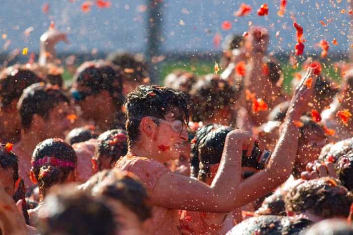 Netherlands Tomato Fight