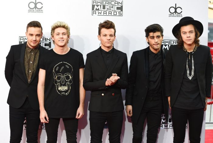 Liam Payne, Niall Horan, Louis Tomlinson, Zayn Malik, Harry Styles