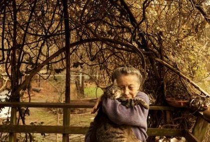 Όχι μία, όχι δύο, αλλά 300 γάτες κατοικούν σε αυτό το σπίτι