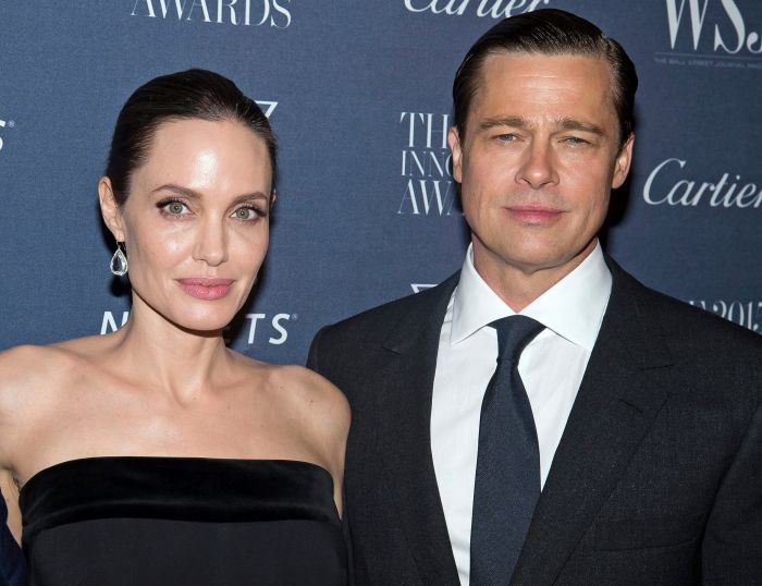 Angelina Jolie Pitt,Brad Pitt