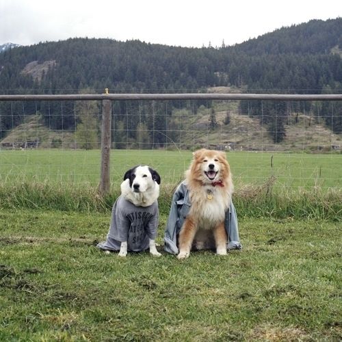 Όταν τα ζευγάρια αλλάζουν ρόλους: Ένα πρωτότυπο project που θα σας κάνει να ξεκαρδιστείτε από τα γέλια!