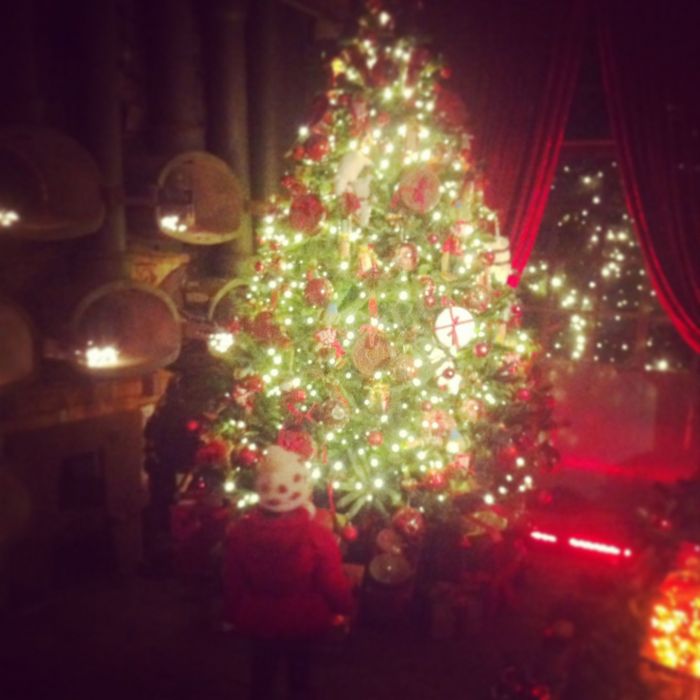 «14 μέρες  για τα Χριστούγεννα!», γράφει η Δέσποινα Καμπούρη