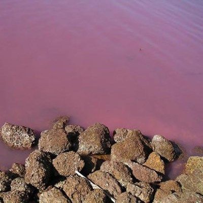 Retba: Η λίμνη που μοιάζει με… τσιχλόφουσκα