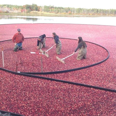 Moments of “EXPERIENCE THE ORIGINAL” από την Ocean Spray