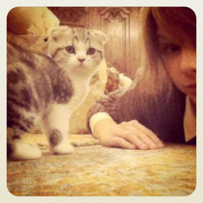 Ανέβασε και εσύ το pet σου στο Instagram όπως κάνουν οι celebs!