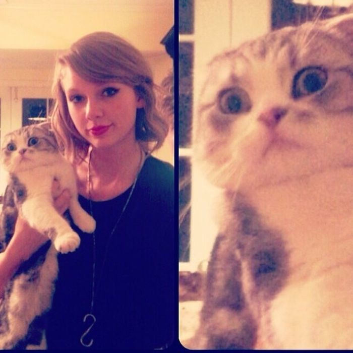 Ανέβασε και εσύ το pet σου στο Instagram όπως κάνουν οι celebs!