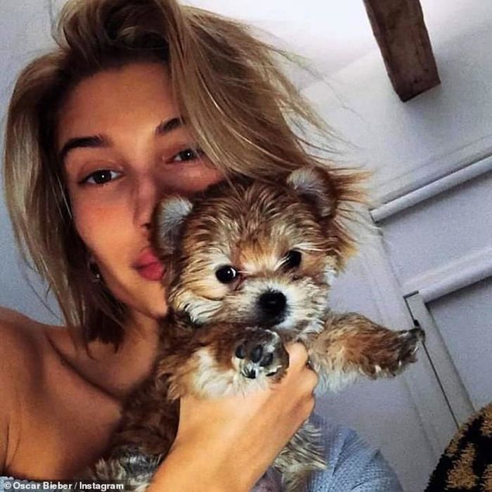 Οι κατηγορίες που δέχτηκε η Hailey Βieber