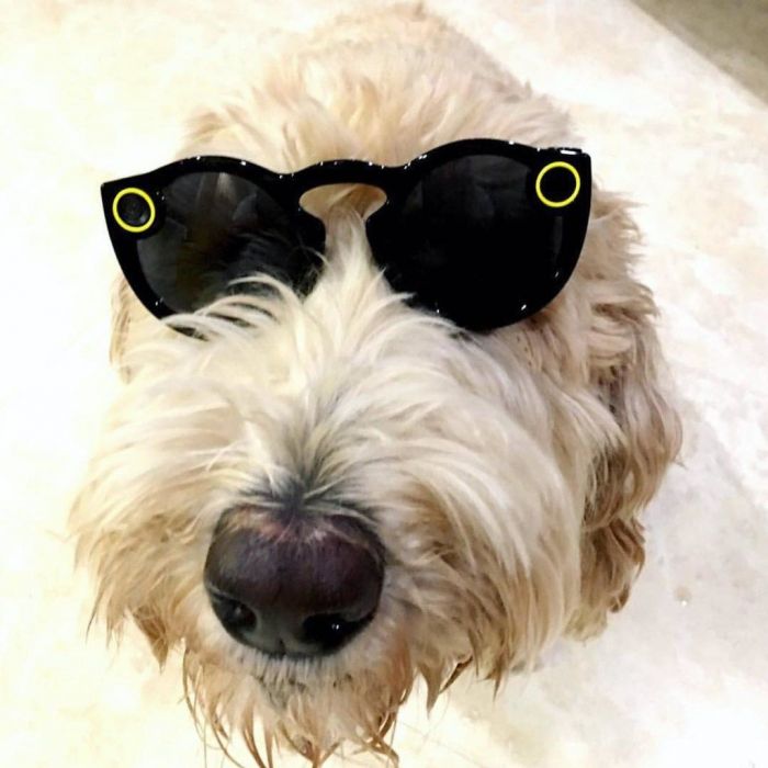 Δες τα μαγικά γυαλιά που βγάζουν βίντεο 