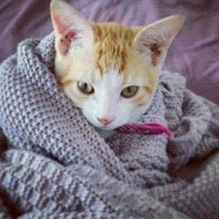 Η Μαίρη Συνατσάκη φωτογραφίζει τον άντρα της ζωής της