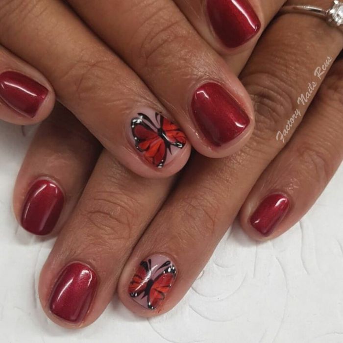 Καλωσορίζουμε την άνοιξη και επίσημα με τις πιο μικροσκοπικές πεταλούδες!