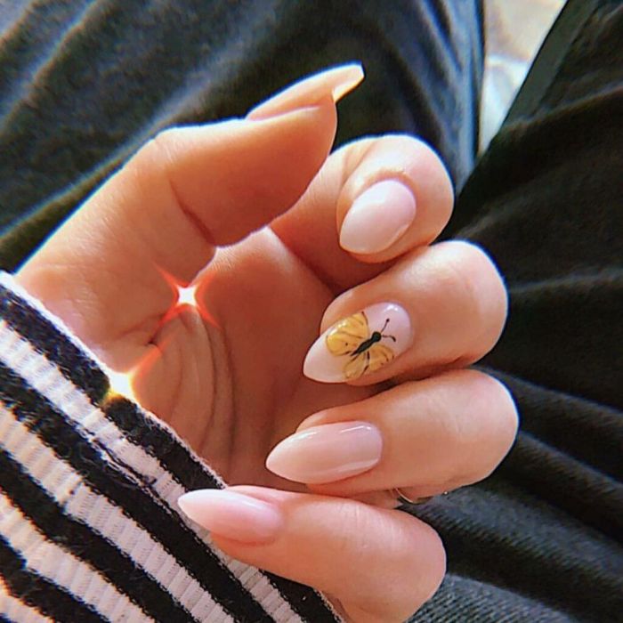 Καλωσορίζουμε την άνοιξη και επίσημα με τις πιο μικροσκοπικές πεταλούδες!