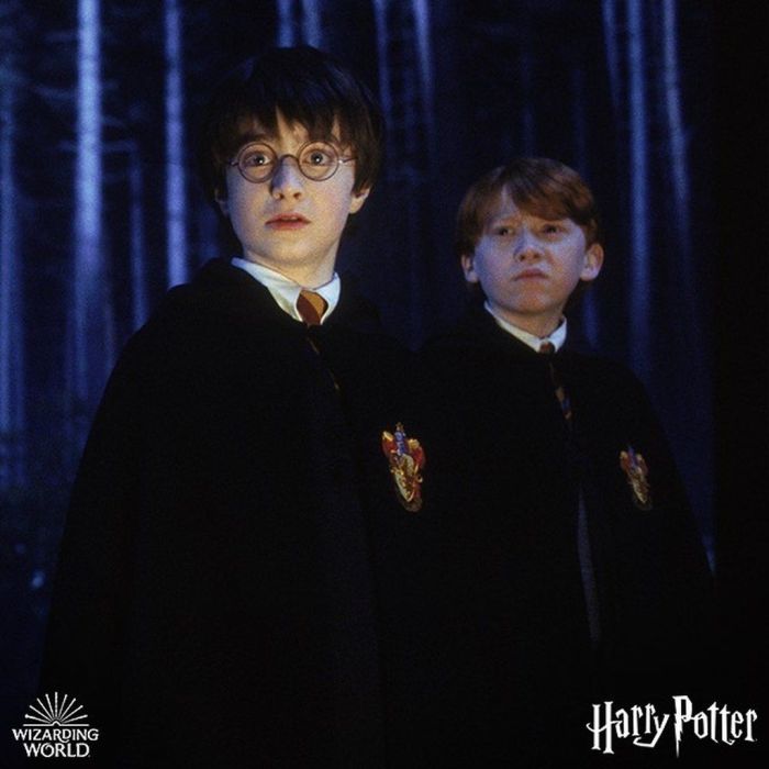 Έχεις βιβλίο του Harry Potter; Δες αν κοστίζει 80.000 ευρώ