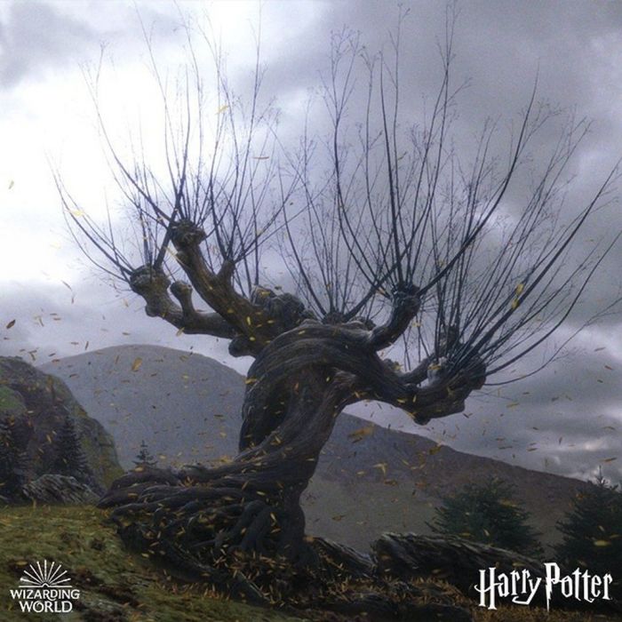 6.	«Είναι οι επιλογές μας, Harry, που δείχνουν τι είμαστε πραγματικά, πολύ περισσότερο από τις ικανότητές μας» - Albus Dumbledore, Harry Potter and the Chamber of Secrets