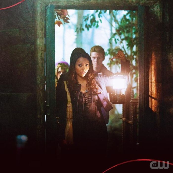 7.	O Paul έβγαινε με τη Phoebe Tonkin (Hayley Marshall), κι ο Joseph Morgan (Klaus Mikaelson) με την Persia White (Abby Bennett Wilson) ερωτεύτηκαν κατά τη διάρκεια της 3ης σεζόν και παντρεύτηκαν.