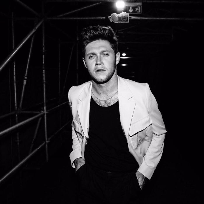 Niall Horan - Δεκέμβριος 2015: Σύμφωνα με πληροφορίες, η Selena έβγαινε με το διάσημο μέλος των One Direction, με το οποίο την είχαν δει να φιλιέται και να αγκαλιάζεται.