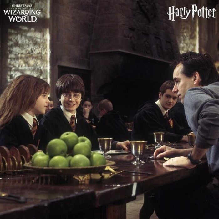 Οι Παράφρονες αποτελούν, έτσι, μία μεταφορική απεικόνιση της κατάθλιψης που την είχε καταλάβει. Γι’ αυτό και είναι όντα, συνδεδεμένα με αισθήματα στενοχώριας, μίσους και απόγνωσης. Ρουφούν το φως και τη χαρά των ανθρώπων, δηλαδή με τον ίδιο τρόπο που λειτ