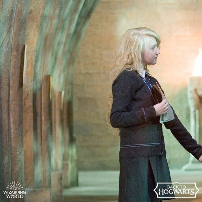 Ακόμα και το γεγονός ότι οι μάγοι μπορούν να τους δουν, ενώ οι muggles μόνο να τους νιώσουν έχει να κάνει με τον τρόπο, με τον οποίο έρχονται οι άνθρωποι σε επαφή με την κατάθλιψη. Άλλοι τη βλέπουν και την αναγνωρίζουν κι άλλοι δεν μπορούν κι απλώς τη νιώ