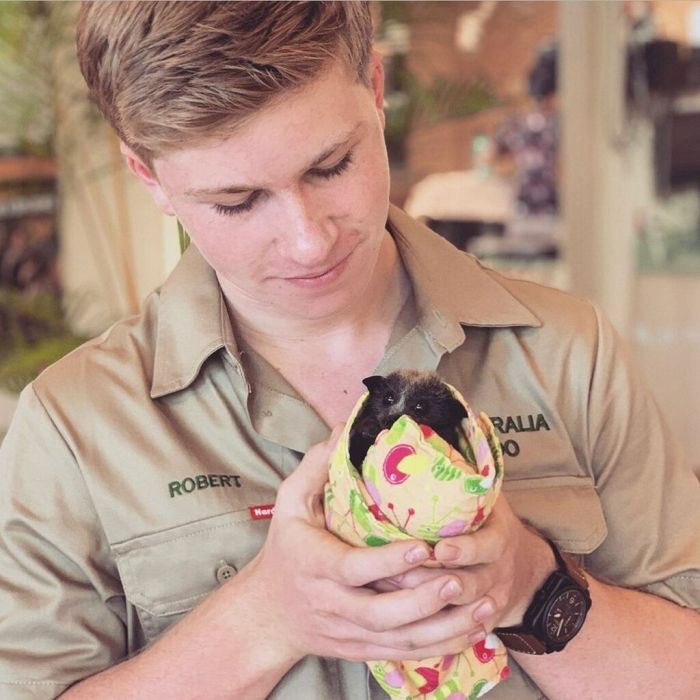 «Η εγκατάσταση για κοάλα που έχουμε στις εγκαταστάσεις μας είναι γεμάτη. Οι άνθρωποι στην Αμερική είναι φανταστκοί που κάνουν δωρεές για να συνεχίσουμε να προσφέρουμε καταφύγιο, φαγητό και φάρμακα σε αυτά τα πανέμορφα ζώα»