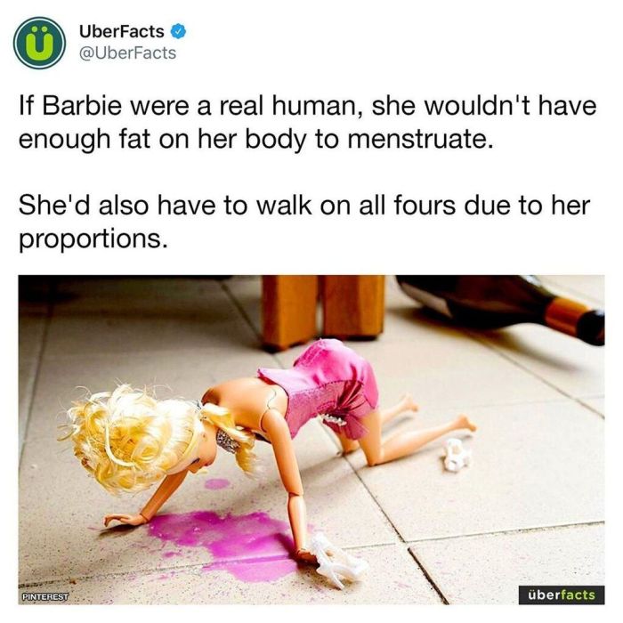 Αν η Barbie ήταν άνθρωπος δεν θα είχε αρκετό λίπος στο σώμα της για να αντεπεξέλθει στις δύσκολες ημέρες του μήνα. Επίσης, αν κρίνουμε από τις αναλογίες της, θα περπατούσε μπουσουλώντας.