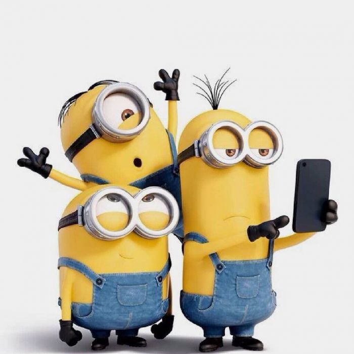 πηγή φωτογραφίας: instagram account @theminionsminati