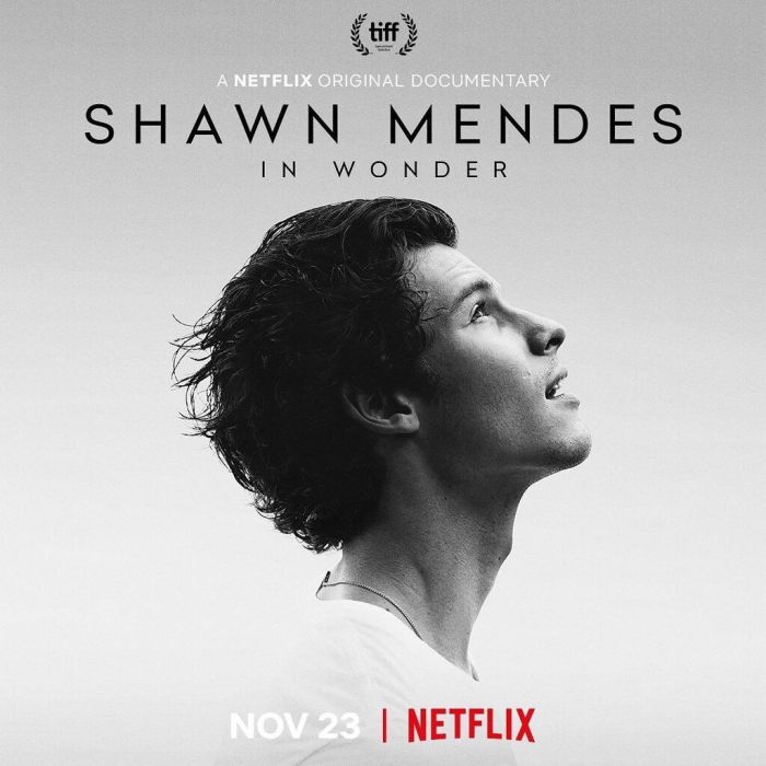Εσύ πόσα ξέρεις για τον Shawn Mendes; Στο νέο ντοκιμαντέρ θα τα μάθεις όλα