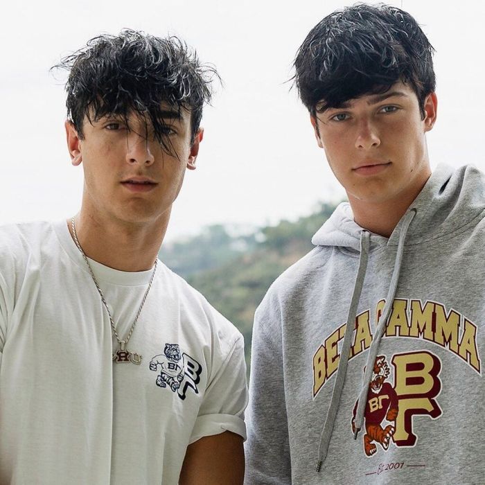 Η διασημότερη κοινότητα του Tik-Tok διαλύθηκε και υπάρχει λόγος