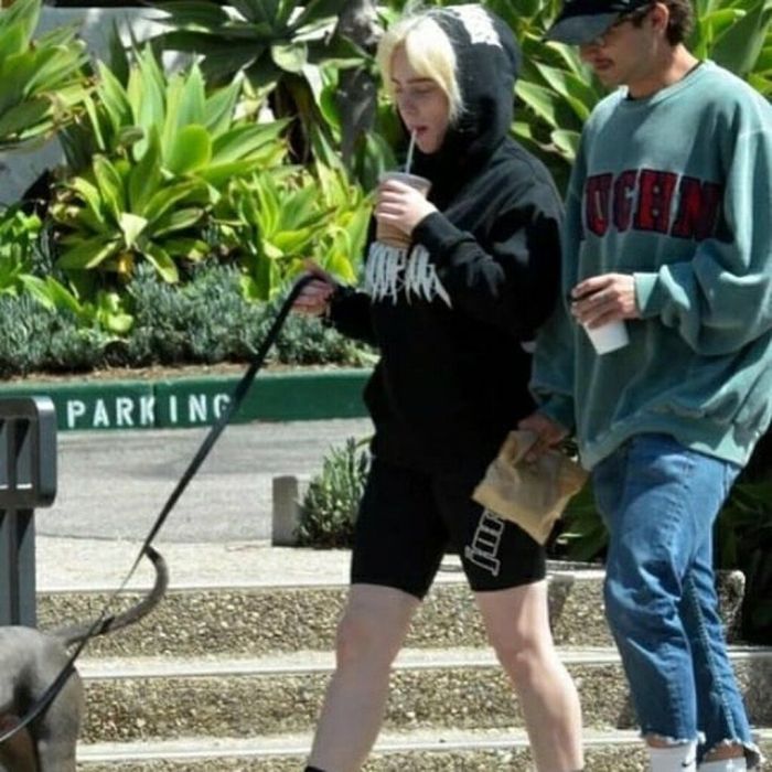 πηγή: fanpage of billie eilish @_.edit.__.billie._