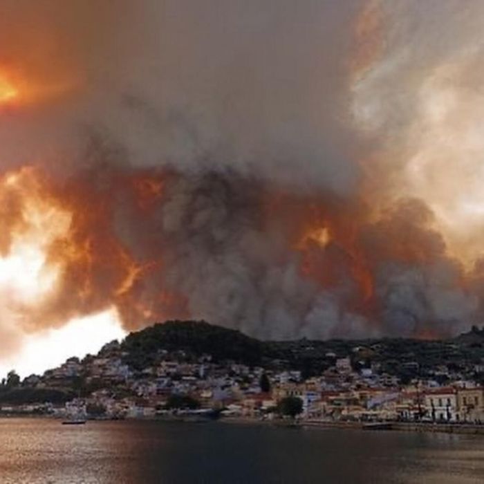 Εύβοια: Η Δανάη Μπάρκα δείχνει πώς ήταν έναν μήνα πριν τις φωτιές και ανατριχιάζει