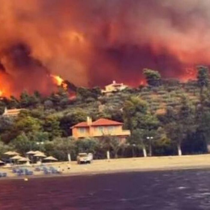 Εύβοια: Η Δανάη Μπάρκα δείχνει πώς ήταν έναν μήνα πριν τις φωτιές και ανατριχιάζει