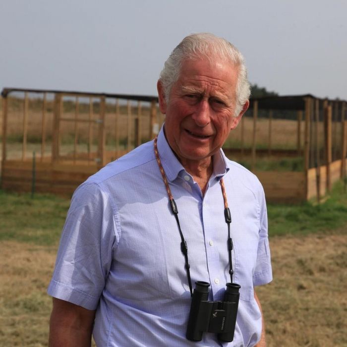 Ένα από τα πιο σημαντικά θέματα που αναφέρθηκαν στη συνέντευξη ήταν και αυτό του «χρώματος» του Archie, όσο ακόμα η Meghan ήταν έγκυος. 