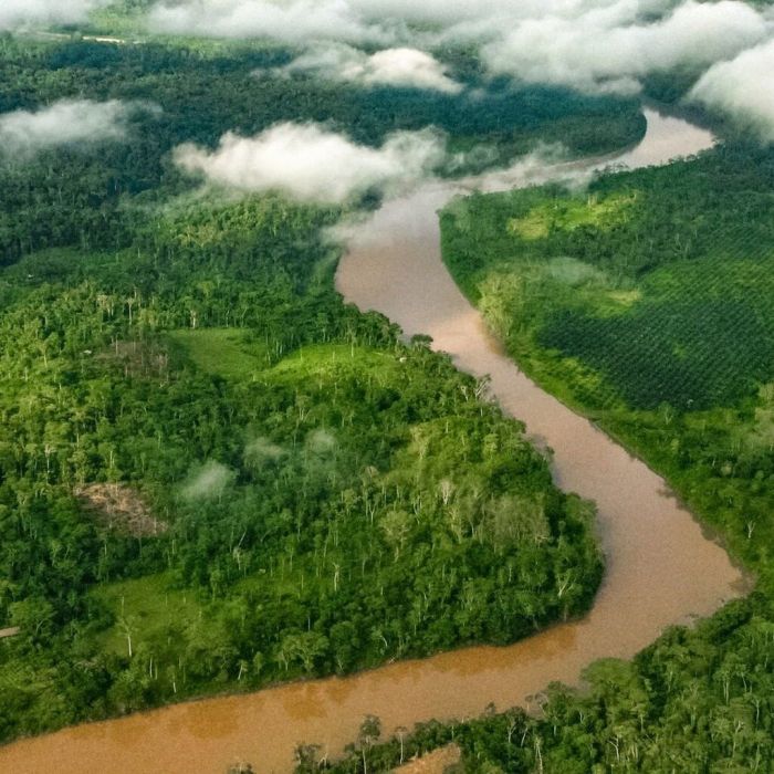 Υδροχόος: Ένα ταξίδι στην καρδιά του Αμαζονίου του Ισημερινού θα σε ξετρελάνει. Εκεί θα μπορέσεις να βιώσεις μια θεραπευτική συνεδρία με έναν ιθαγενή σαμάνο και να γνωρίσεις τον τρόπο ζωής τους, ο οποίος είναι πολύ ιδιαίτερος. @savethenativeforest