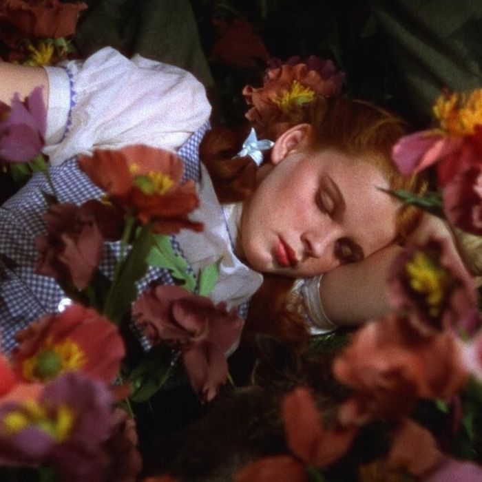 Το outfit πουλήθηκε το 2015 μέσα σε λιγότερο από 3 λεπτά για σχεδόν €1,218,000 @wizardofozfilm