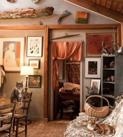 Όχι μία, όχι δύο, αλλά 300 γάτες κατοικούν σε αυτό το σπίτι