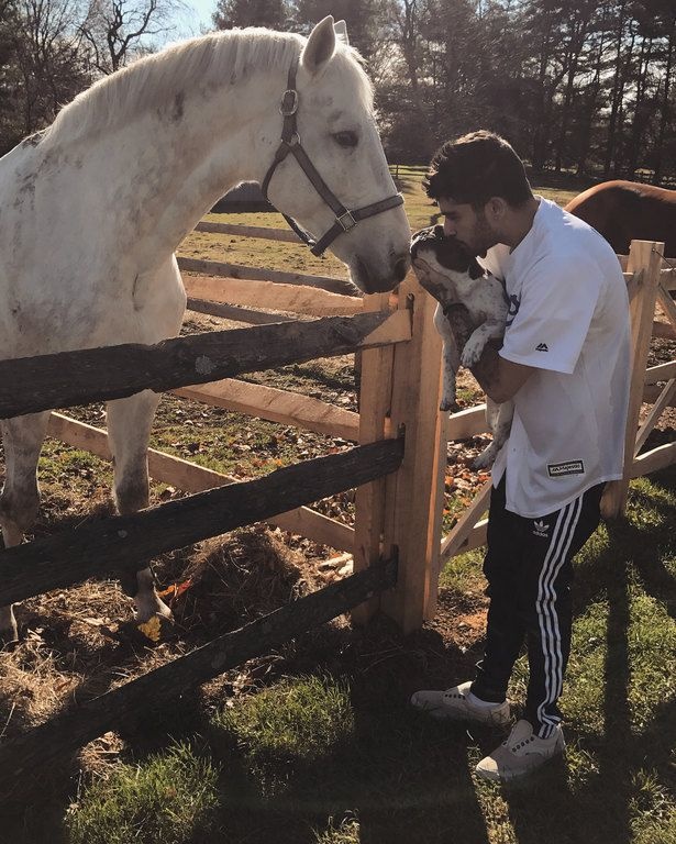 O Zayn χώρισε με την Gigi και της αφιερώνει αυτό το τραγούδι; 