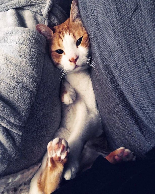 Η Μαίρη Συνατσάκη φωτογραφίζει τον άντρα της ζωής της