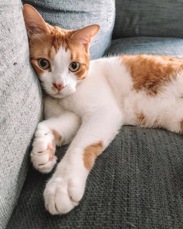 Η Μαίρη Συνατσάκη φωτογραφίζει τον άντρα της ζωής της