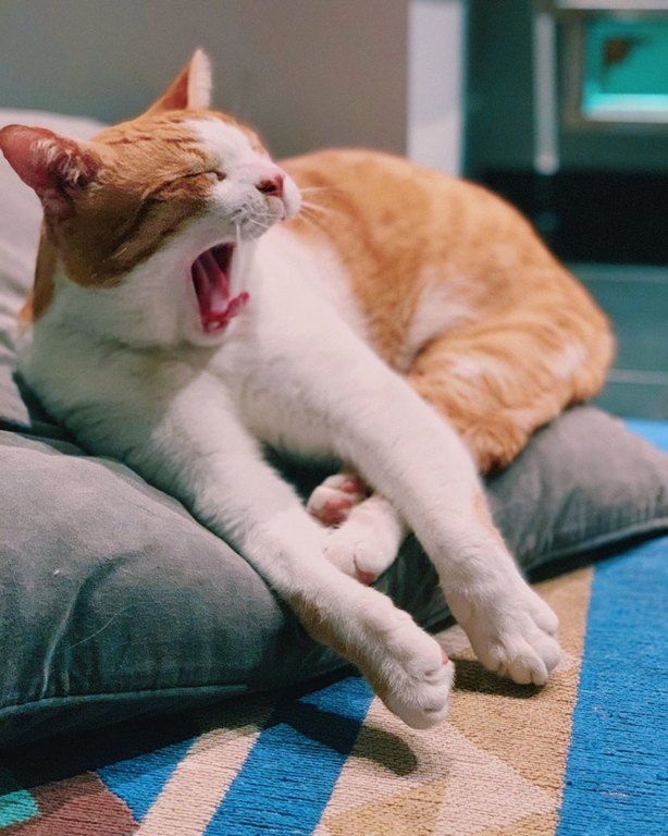 Η Μαίρη Συνατσάκη φωτογραφίζει τον άντρα της ζωής της