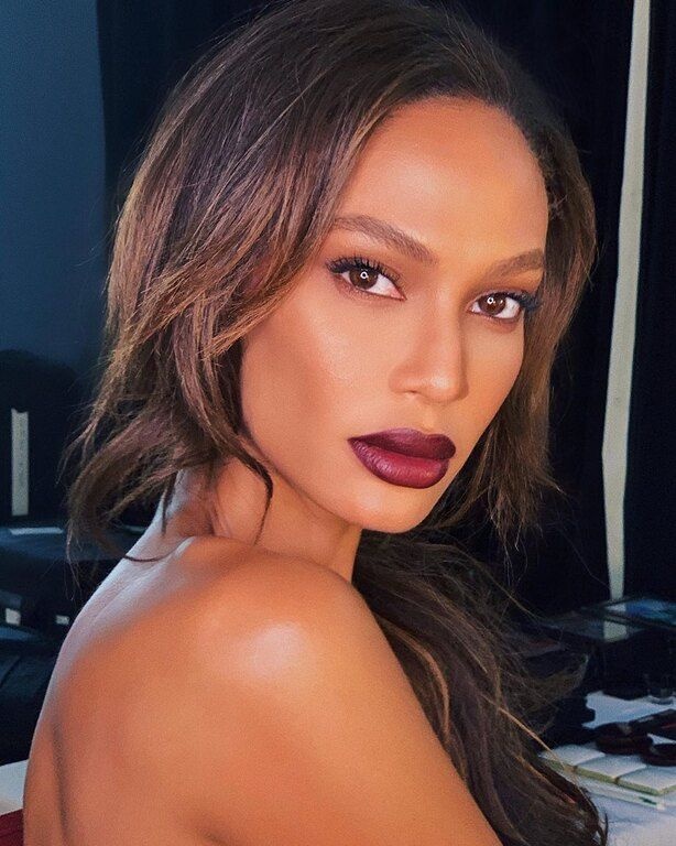 Ανάμειξη σκιών σε γήινες αποχρώσεις με βυσσινί κραγιόν