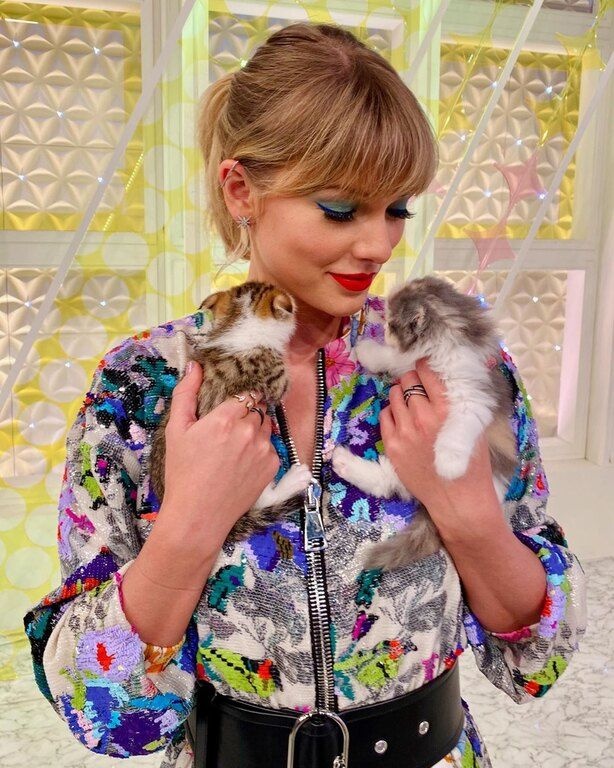 Πρωταγονιστές του μιούζικαλ «Cats» θα είναι οι: Taylor Swift, James Corden, Judi Dench, Jason Derulo, Idris Elba, Jennifer Hudson, Ian McKellen, Rebel Wilson και η Francesca Hayward, Α’ Χορεύτρια του Βασιλικού Μπαλέτου. 