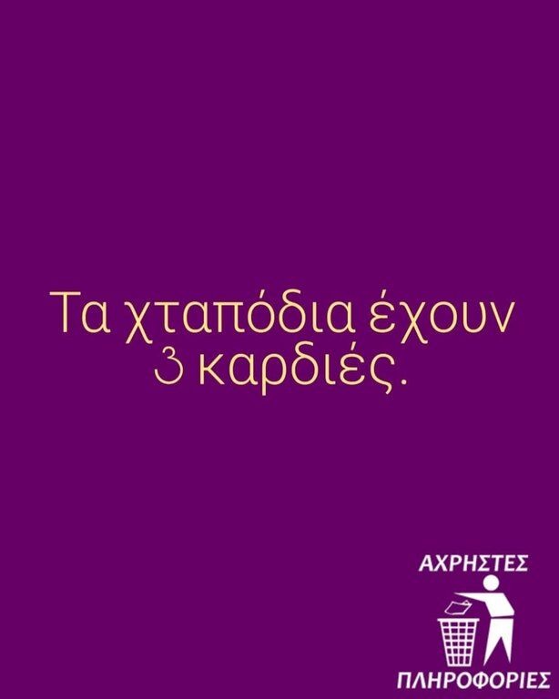 Πόσες «Άχρηστες πληροφορίες» αντέχεις; Αυτό το account στο Insta θα λύσει κάθε σου απορία