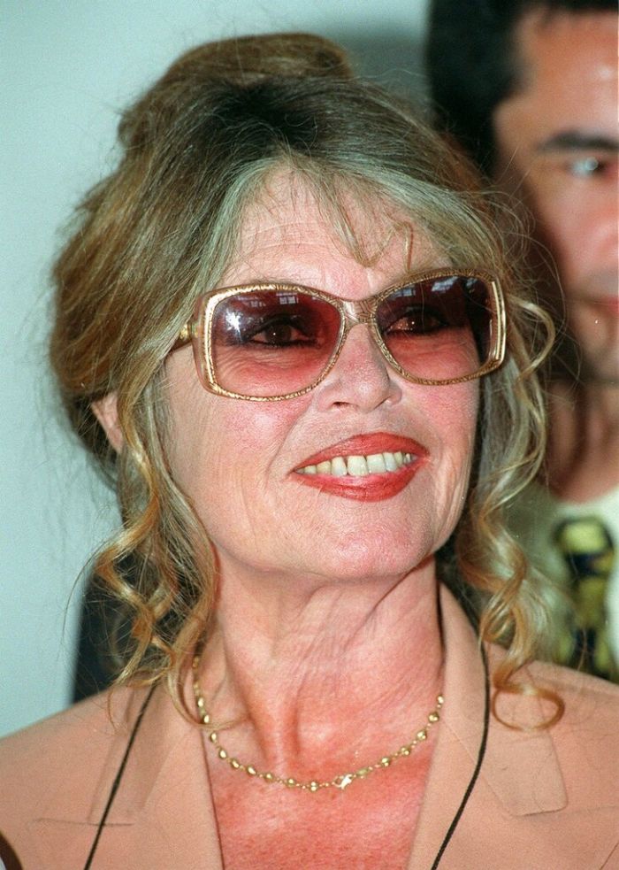 FRANCE BARDOT MEMOIRS