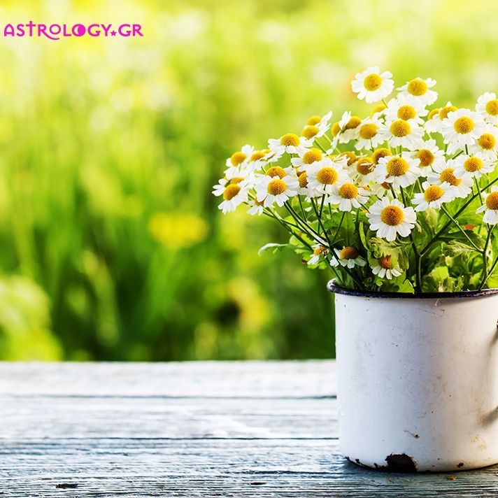 Ημερήσιες προβλέψεις για όλα τα ζώδια, 29/5